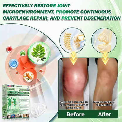 🇺🇸 𝐎𝐟𝐟𝐢𝐜𝐢𝐚𝐥 𝐔𝐒 𝐒𝐭𝐨𝐫𝐞 | 🧑‍⚕️🩺 ODALIT® Moringa · Berberine × NAD+ 𝟏𝟎-𝐢𝐧-𝟏 𝐀𝐝𝐯𝐚𝐧𝐜𝐞𝐝 𝐍𝐚𝐧𝐨 𝐌𝐢𝐜𝐫𝐨𝐧𝐞𝐞𝐝𝐥𝐞 𝐏𝐚𝐭𝐜𝐡 — 𝐎𝐧𝐜𝐞 𝐃𝐚𝐢𝐥𝐲, 𝐕𝐢𝐬𝐢𝐛𝐥𝐞 𝐑𝐞𝐬𝐮𝐥𝐭𝐬 𝐢𝐧 𝟕 𝐃𝐚𝐲𝐬